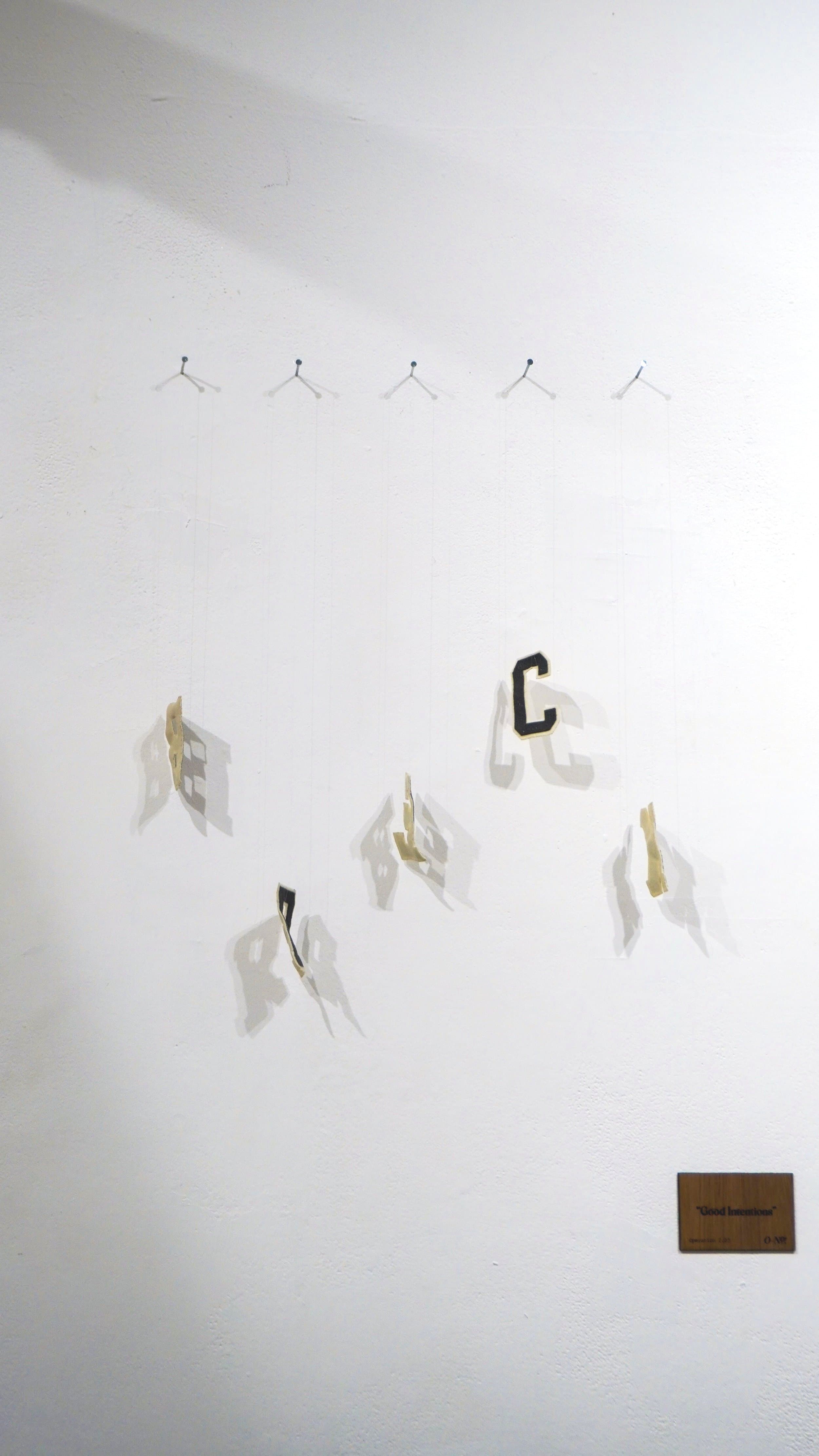 “Good Intentions” - iron-on letters, suspended from nails by fishing line